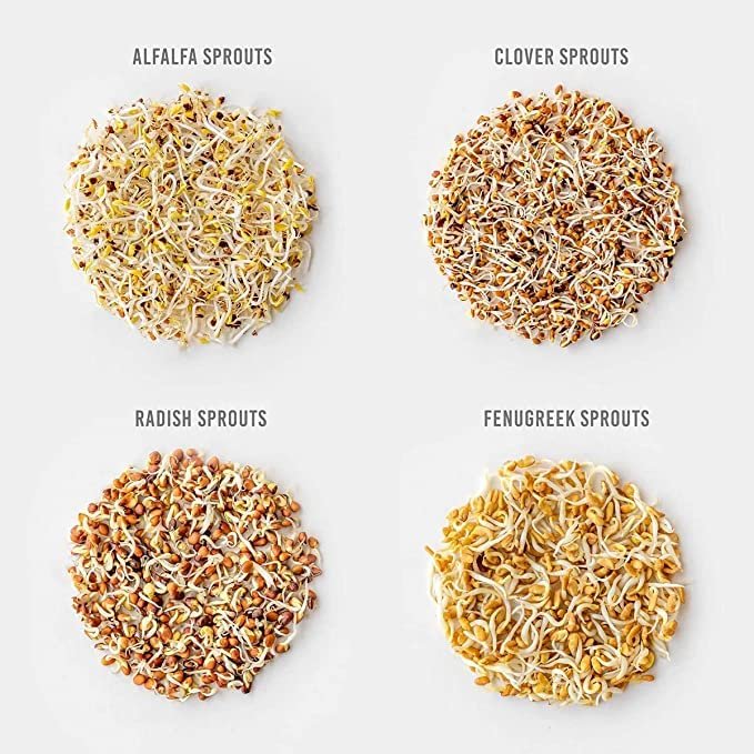 Bosileaf microgreens gallery